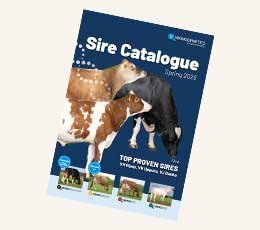 VikingGenetics sire catalogue cover