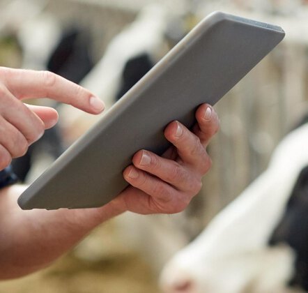 Easy access - full integration with your herd management system