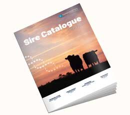VikingGenetics sire catalogue cover