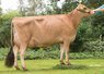 VJ Dee - DNK 304164 - VikingJersey