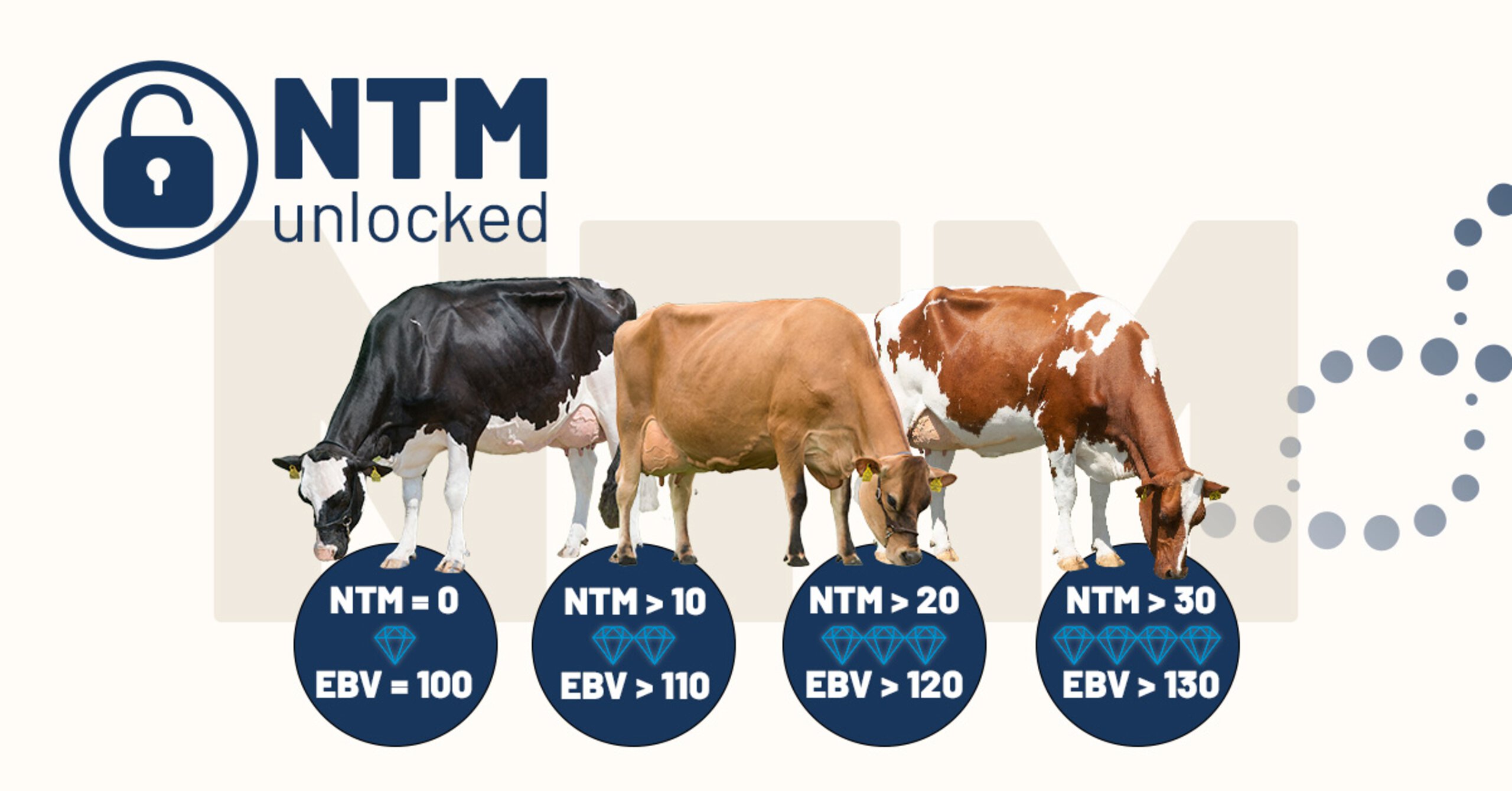 The NTM range explained