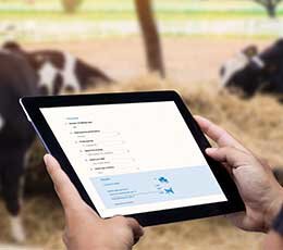 SimHerd Calculadora de semen sexado