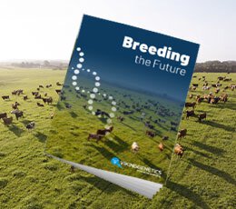 VikingGenetics breeding the future brochure