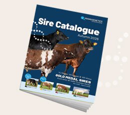 VikingGenetics sire catalogue cover