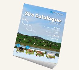 VikingGenetics sire catalogue cover